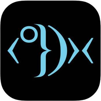 Daily Bible Devotion